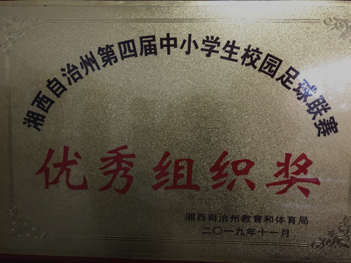 州足球优秀组织奖_副本.jpg