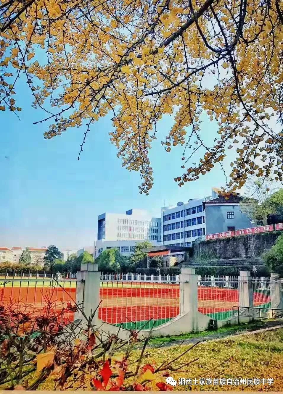 湘西州民中疫情防控下的心理维护小贴士来了请查收哦